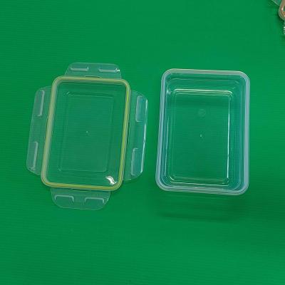 China Freshness Preservation PP Color Plastic Box Food Packet Container For Fruit for sale