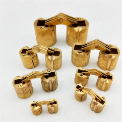 China Brass Connection 24mm Furniture Brass Hardware Small Cylindrical Hinge For Wooden Boxes for sale