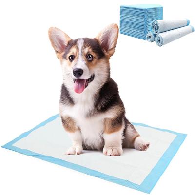 China Amazon Sell Pet Diapers Hot Viable Disposable Cat Training Urine Pad Dog Absorbent Mat Products Pet Products for sale