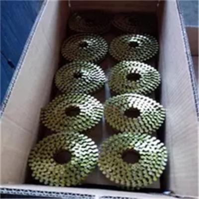 China Decoration 2.3-2 inch one cardboard coil nails for pric pallets/coil nails for pneumatic pallet nail gun use for sale