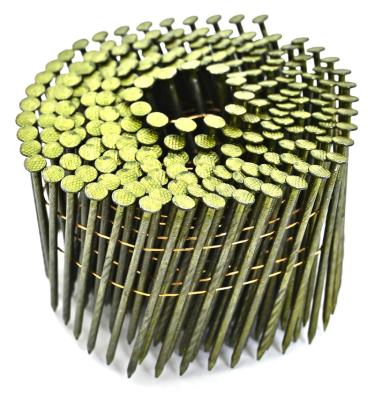 China Professional 1inch -4 inch paddle coil nail/bulk coil nails manufacture china with cheap price for sale