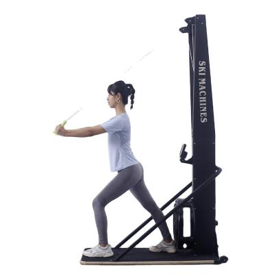 China Exercise Home Arcade Snow Gym Equipment Fitness Simulator Wind Resistance Air Twin Row Nordic Skiing Indoor Rowing And Skiing Machine for sale