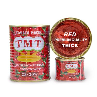 China 100% Fresh Ripe Tomatoes Brand GINO Canned Double Concentrate Tomato Sauce China Factory With Cheap Price for sale