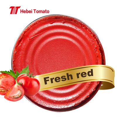 China Foods Cooking Easy Open Line Hot Selling Production of Canned Tomato Sauce Tin Aseptic Tomato Puree Turkish Tomato Sauce Wholesale 210g 400g 800g for sale