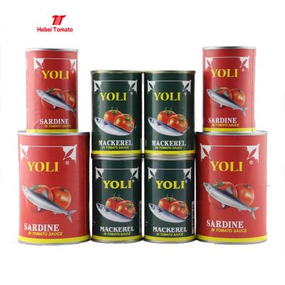 China Canned High Quality Tin Fish Mackerel In Tomato Sauce 425g Canned Fish for sale