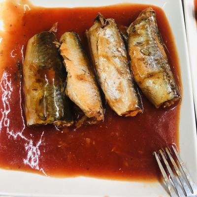 China Best Bulk Canned Fish Canned Sardine Canned Mackerel in Tomato Sauce 425g for sale