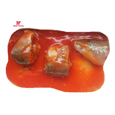 China Canned Canned Mackerel In Tomato Sauce Canned Fish China Factory for sale