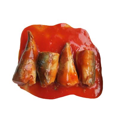 China Canned food healthy mackerel canned fish in tomato sauce for sale