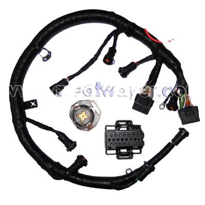 China Automotive Nissian 6.0 L 6.0 Diesel Engine Wire Harness 2003 6.0 FICM Powerstroke 1843796 for sale