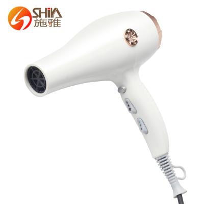 China Ionic White Hear Hair Dryer Fan 2021 New Professional Machine Salon Custom For Hair With Diffuser for sale