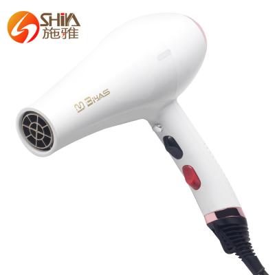 China Cool Shot Custom Private Label Magic Professional Hand Dryer For Hair Dryers Styler On Sale for sale