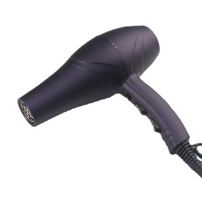 China Other Pro Hairdressing 2 Speed ​​Settings Electric Hair Dryer AC Motor Salon Blow Dryer for sale