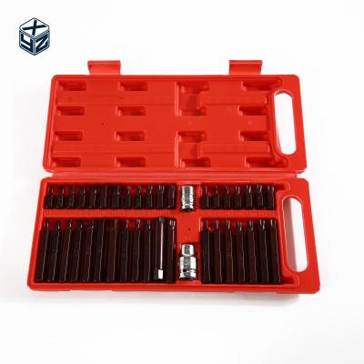 China Industrial Grade 40 Pieces Bits Set with Red S2 Material and Natural Finish Plastic Box for sale