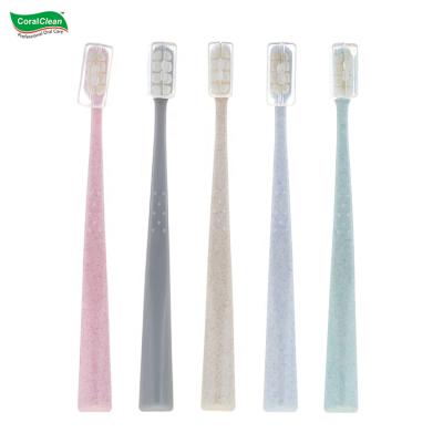 China Other 10000 Bristles High Quality Super Soft Adult Toothbrush New Eco-friendly Toothbrush for sale