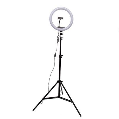 China Studio 10 Inch Fill Light Scope Make Up Selfie Led Ring Light With Tripod Stand for sale