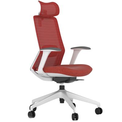 China New Design 2021 Furniture Office Chair Modern Adjustable Support Lumber Adjustable Computer Chair Mesh (Height) With 4D Arms for sale