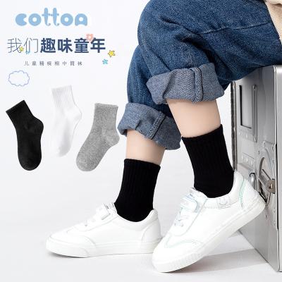 China Cute QUICK DRY Whale Combed Cotton Socks Cartoon Crew Sock Kids Teen Boys School Girl Wholesale Custom Design Kids Socks for sale