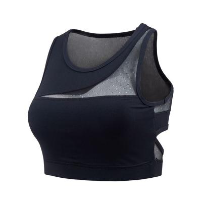 China Breathable Crop Top For Women Yoga Padded Mid Impact Support Workout Activewear Leisure Breathable Soft Stretch High Tops Fitness for sale