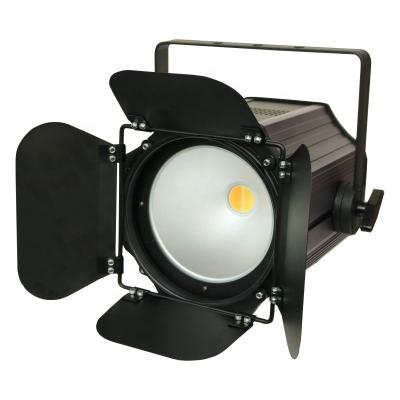 China 200W Hotel COB LED Studio PAR Light (WW/CW) Stage Par Light With Barndoor for sale