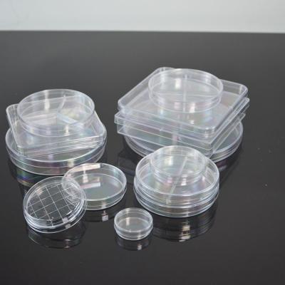 China Eco-Friendly Direct Wholesale Transparent Laboratory Mold Large Disposable Plastic Petri Dish Petri Dishes for sale