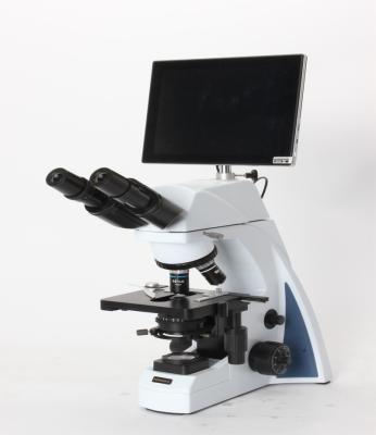 China Hot selling digital microscope with LCD screen NLCD-307B for sale