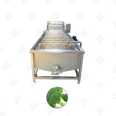 China High Efficiency Easy Operate New Automatic Pineapple Sugar Cane Leaf Broccoli Washing Machine Fruit Cleaning Seal and Dryer for sale