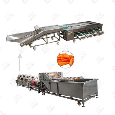 China Green Vegetable Fruit Washing Machine High Efficiency Potato Seal Machinery Bubble Wash And Sorter for sale