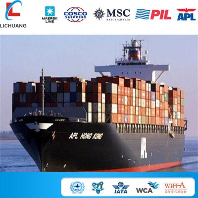 China Shenzhen Guangzhou China Warehouse Forwarder Service Independent Sea Freight To Worldwide By DDP DDU for sale