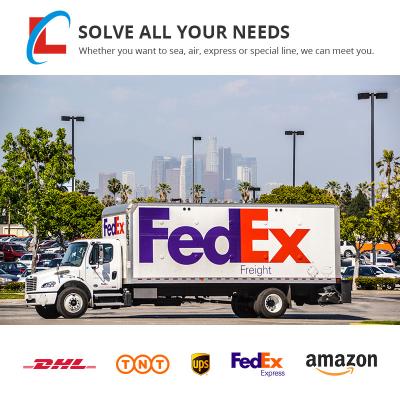 China free & Professional Independent Warehouse Forwarder International Logistics Freight Forwarder From China To Egypt DHL UPS Fedex Door To Door for sale