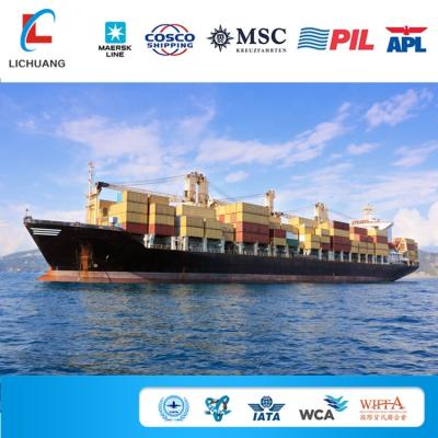 China Supply Cheapest Warehouse Logistics China Sea Shipping To Algeria for sale