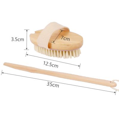 China WELLRICH All Natural Natural Hair Dry Skin Exfoliating Brush, Long Handle Back Scrubber For Shower, Improve Blood Circulation for sale