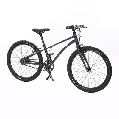 China Wholesale High Quality Avasta Sports Shimano 8 Speed ​​24inch Kids Bike For Outdoor Sports for sale