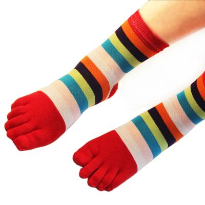 China QUICK DRY Hot-selling Christmas thongs Cmax wholesale striped cotton thongs medium tube socks for sale