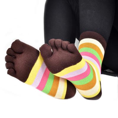 China Women QUICK DRY Adult Crew Cotton Sporty Toe Running Socks For Men And Women Designer Socks for sale