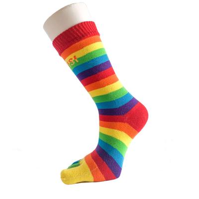 China QUICK DRY Women Combed Cotton Colorful Rainbow Striped Slit Toe Five Finger Socks for sale