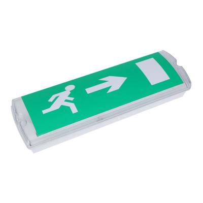 China Cheap Lumens Dot Green Dot Runner Sign Exit Lighting Wiring Emergency Double Sided Warning Light for sale