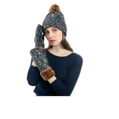 China Image X1402 Lady Casual Knitted Hat And Gloves Couple Warm Elastic Knitting Head Hats And Mittens Adult Girls Wear Tops Wool Cap for sale