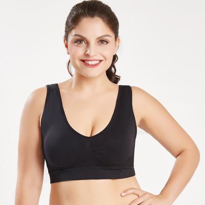 China Antibacterial Super Plus Size Padded Seamless Bra For Fat Women for sale