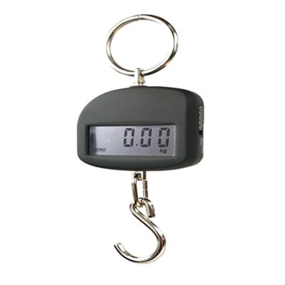 China Tare Function 30kg /10g Factory Price Mini Electronic Hanging Smart Fish Cheap Luggage Weight Scale for sale