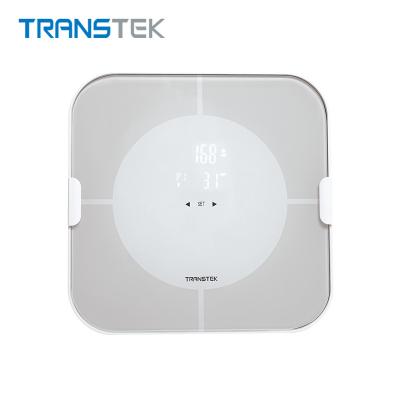 China Wholesale Digital Body Fat Scale , Medical ITO BT 4.0 Digital Scale GBF-1406-B for sale