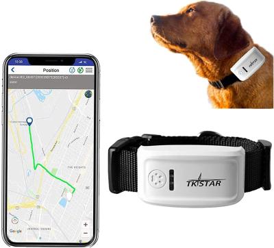 China Water Make Mini Anti Lost Waterproof Pet Resistant Tracking Device Dog GPS Trackers GPS Collar With GPS Collar For Dog for sale