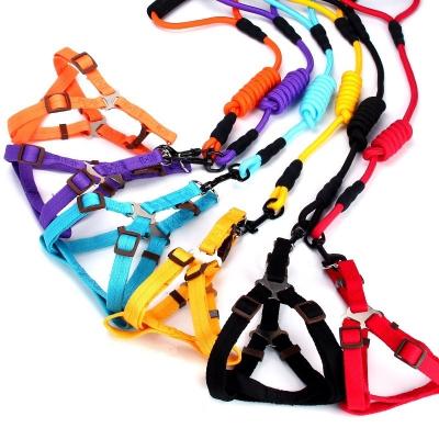 China Sustainable Eco Friendly 3 Months Dog Short Purple Nylon Recycled Running Climbing Rope Training Dog Harness Leash Set for sale