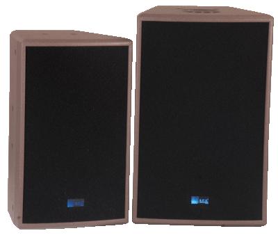 China Multifunctional Entertainment SPE Quality Home System 200W Karaoke Professional 10 Inch Loudspeaker Karaoke Speaker 200W for sale