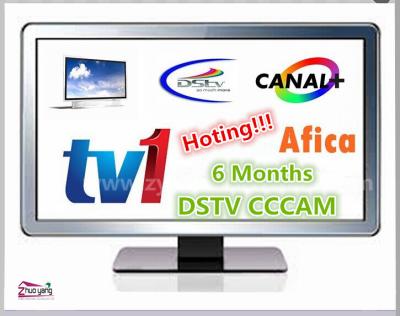 China Hoge de Servercccam Newcam Rekening van de Definitie dvb-s Satellietontvanger TV1 voor Afrika DSTV 36E Te koop