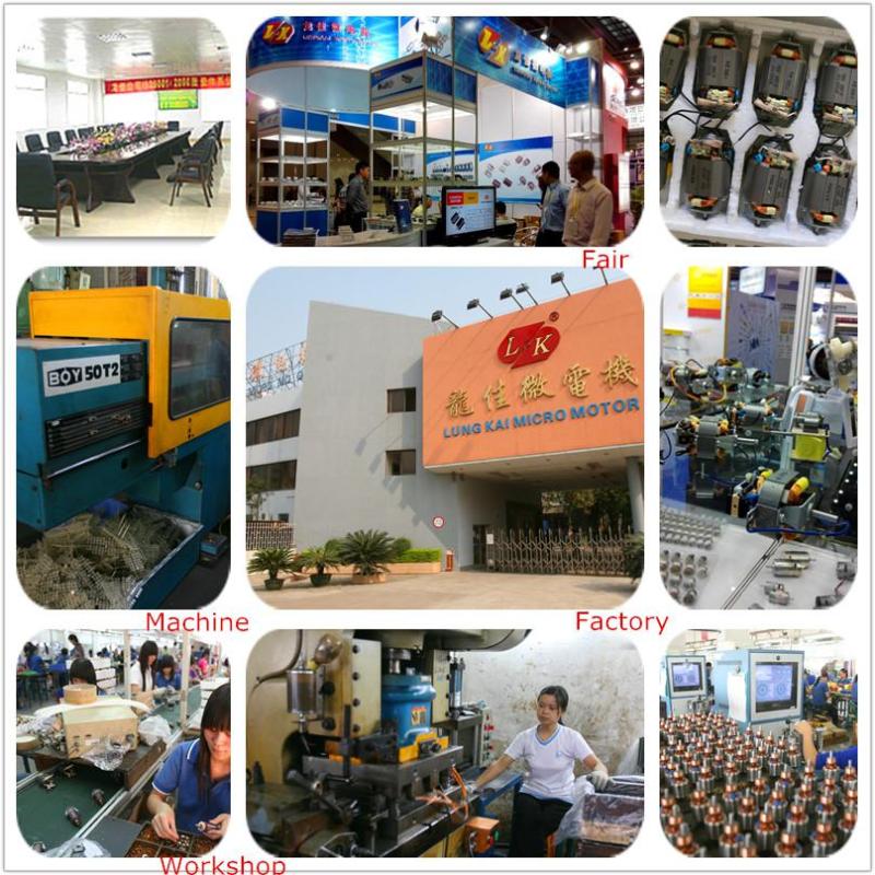 Verified China supplier - Foshan City Shunde Lungkai Micro-Motor Ind. Ltd.