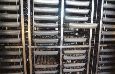 China black garlic fermenter machines AP400 for sale