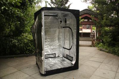 China Non - toxic 600D Oxford  Mylar Grow Tent Large 40*40*120 cm , 60*60*140 cm for sale