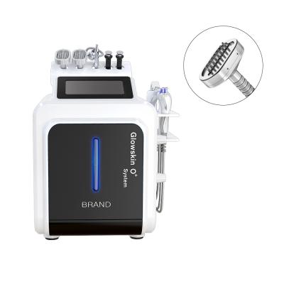 China 2021 Bestselling Exfoliators 10 in 1 Crystal Microdermabrasion Machine for Skin Care to Solve Any Problems for sale