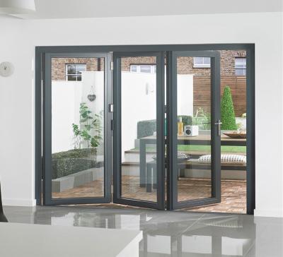 China Modern Swing Design Wrought Iron Folding Door for sale