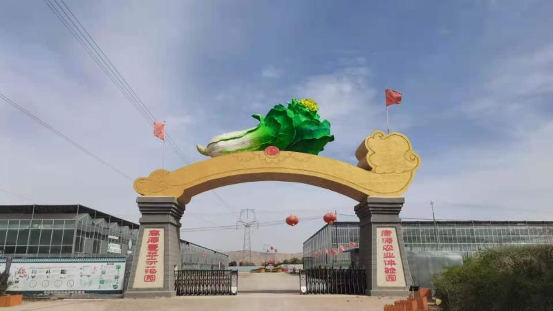 Verified China supplier - Gansu Kangyuan Modern Agriculture Co., Ltd.